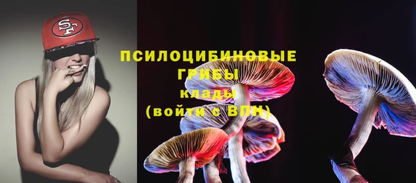 стаф Белоозёрский