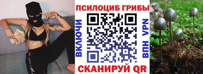 дарнет шоп  darknet официальный сайт  Галлюциногенные грибы Magic Shrooms  Армавир 