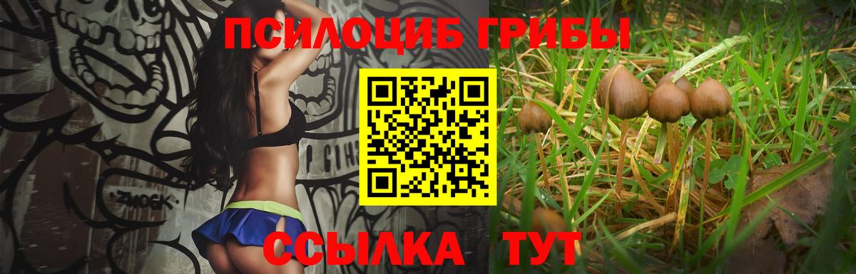 Армавир  Псилоцибиновые грибы Cubensis  Вход с VPN  наркотики  Галлюциногенные грибы MAGIC MUSHROOMS 